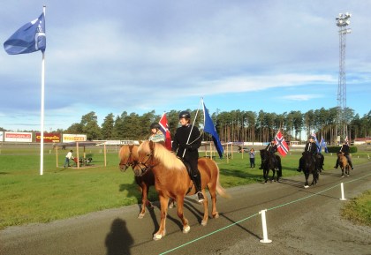 flaggborg (2) TH15 30år